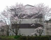 2017桜2.jpg